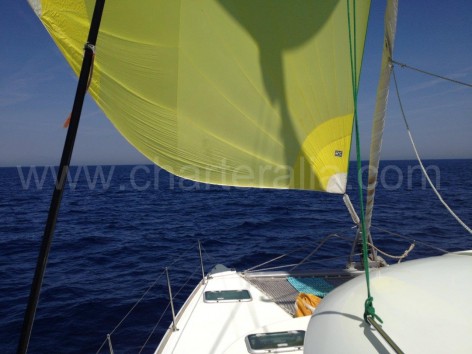 catamaran sailing with gennaker