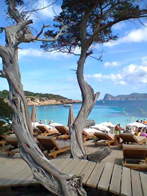 One of the best beaches in Ibiza Cala Bassa