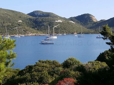 Boat rentals in Mallorca ancored in the island of Cabrera