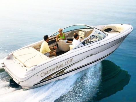 Speed boat hire in Ibiza Sea Ray 210 for 8 people
