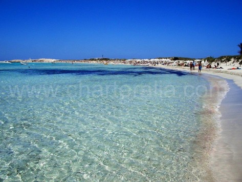 Playa de Illetes en Formentera