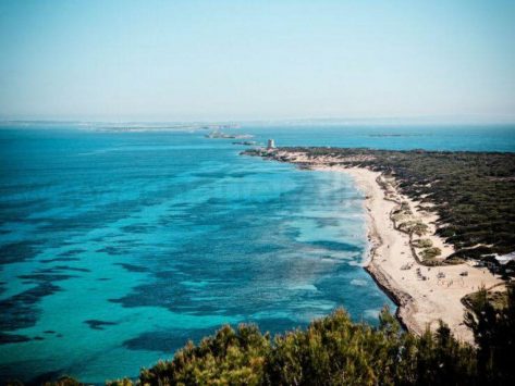 impresionantes vistas de la playa de Es Cavallet en las salineras de Ibiza