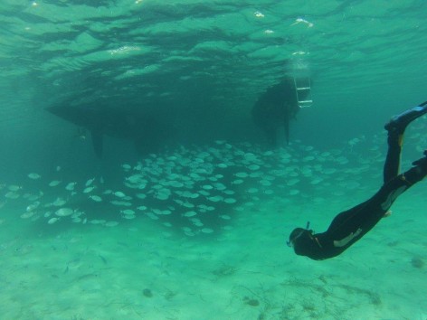 snorkeling in Ibiza